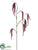 Silk Plants Direct Amaranthus Hanging Spray - Burgundy - Pack of 12