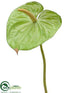 Silk Plants Direct Anthurium Spray - Green - Pack of 24