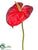 Anthurium Spray - Red - Pack of 24