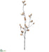 Silk Plants Direct Marble-Look Acorn Spray - Beige - Pack of 6