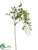 Amaranthus Hanging Spray - Cream - Pack of 12