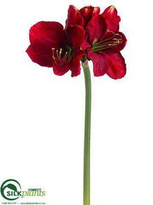 Amaryllis Spray - Red - Pack of 12