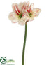 Silk Plants Direct Amaryllis Spray - White Red - Pack of 12