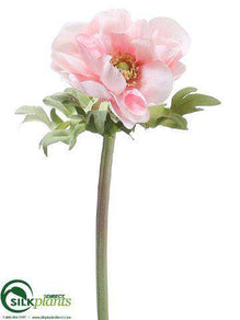 Anemone Spray - Pink - Pack of 12