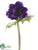 Anemone Spray - Purple - Pack of 12