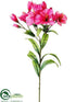 Silk Plants Direct Alstromeria Spray - Fuchsia - Pack of 12