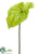 Anthurium Spray - Green - Pack of 12