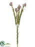 Silk Plants Direct Leucadendron Berry Spray - Brown Light - Pack of 12
