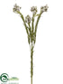 Silk Plants Direct Leucadendron Berry Spray - Green - Pack of 12