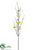 Quince Blossom Spray - Yellow - Pack of 12