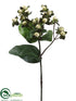 Silk Plants Direct Hypericum Spray - Green Cream - Pack of 12