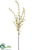 Star Blossom Spray - Beige - Pack of 6