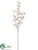 Berry Spray - Orange - Pack of 12