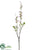 Blossom Spray - Cerise White - Pack of 12