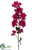 Bougainvillea Spray - Rubrum - Pack of 12