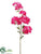 Silk Plants Direct Bougainvillea Spray - Fuchsia Two Tone - Pack of 6