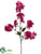 Bougainvillea Spray - Pink Cream - Pack of 6