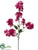 Bougainvillea Spray - Fuchsia - Pack of 6