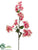 Bougainvillea Spray - Pink Cream - Pack of 6