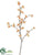 Quince Blossom Spray - Apricot Peach - Pack of 12