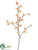 Quince Blossom Spray - Apricot Peach - Pack of 12