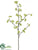 Quince Blossom Spray - Green - Pack of 12