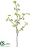 Silk Plants Direct Quince Blossom Spray - Green - Pack of 12