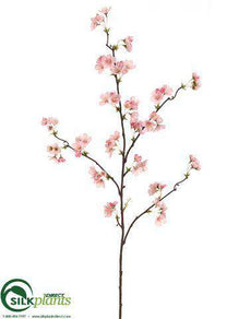 Quince Blossom Spray - Pink - Pack of 12