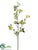 Pear Blossom Spray - Green Two Tone - Pack of 12