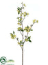 Silk Plants Direct Pear Blossom Spray - Green Two Tone - Pack of 12