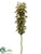 Euphorbia Blossom Spray - Green Burgundy - Pack of 6