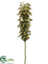 Silk Plants Direct Euphorbia Blossom Spray - Green Burgundy - Pack of 6