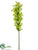 Euphorbia Blossom Spray - Green Violet - Pack of 6