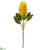 Banksia Spray - Orange - Pack of 12