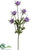 Buttercup Spray - Lavender - Pack of 24