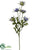 Buttercup Spray - Purple Lavender - Pack of 24