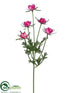 Silk Plants Direct Buttercup Spray - Rubrum - Pack of 12