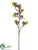 Silk Plants Direct Berry Spray - Plum - Pack of 12