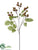 Silk Plants Direct Raspberry Spray - Green Burgundy - Pack of 12