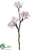 Blossom Spray - Pink Soft - Pack of 24