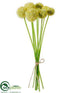 Silk Plants Direct Billy Button Bundle - Yellow - Pack of 24