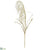 Reed Grass Bloom Spray - Ivory - Pack of 12