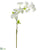 Cherry Blossom Spray - White - Pack of 12