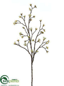 Budding Blossom Branch - Cream Green - Pack of 6