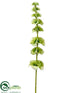 Silk Plants Direct Bells of Ireland Spray - Green Light - Pack of 12