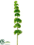 Silk Plants Direct Bells of Ireland Spray - Green - Pack of 12