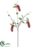 Silk Plants Direct Bottlebrush Hanging Spray - Red - Pack of 12