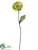 Lotus Blossom Spray - Green Light - Pack of 12