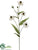 Black-Eyed Susan Spray - White - Pack of 12