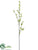 Wild Blossom Spray - White Green - Pack of 12